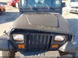 Jeep Wrangler / Yj S/Rio Grande 1J4FY19P8SP205868 снимка