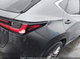 Lexus Nx 350H Base/350H Premium/350H Luxury 2T2GKCEZ2RC030438 снимка