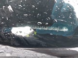 Honda Accord Lx 1HGCP26319A808081 снимка