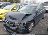Acura Tsx JH4CL96846C802059 снимка