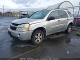 Chevrolet Equinox Ls 2CNDL23F376121896 снимка