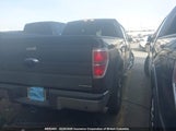 Ford F150 Supercrew 1FTFW1EF3DFB25167 снимка
