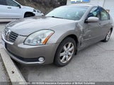 Nissan Maxima Se/Sl 1N4BA41E04C900365 снимка