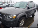 Ford Escape Xlt 1FMYU93196KA83324 снимка