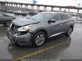 Nissan Murano Platinum/Sl/Sv 5N1AZ2MH5HN179846 fotografie