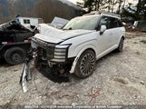Hyundai Palisade Hybrid Nhl Special Edition/Ultimate Calligraphy Hybrid KM8RMESA3TU058403 fotografie