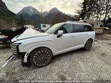 Hyundai Palisade Hybrid Nhl Special Edition/Ultimate Calligraphy Hybrid KM8RMESA3TU058403 fotografie