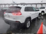 Jeep Cherokee North 1C4PJLCN7KD149974 снимка