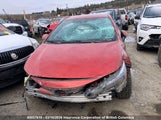 Toyota Corolla Se/Xse JTNK4RBE8K3031195 photo