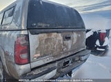 Chevrolet Silverado  Ls/Lt 2GCEK19B371108637 fotografie