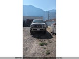 Ford F350 1FTWW33P06EB12599 снимка