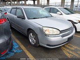 Chevrolet Malibu Maxx Ls 1G1ZT64805F204019 fotografie