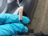Nissan Rogue Sport S/Sv/Sl JN1BJ1CW6LW386455 photo