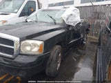Dodge Dakota St 1D7HE22K85S192140 fotografie