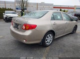 Toyota Corolla S/Le/Xle 2T1BU4EE3AC302110 снимка