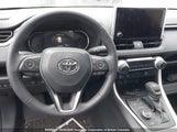 Toyota Rav4 Xle/Woodland Edition 2T3RWRFV9RW234708 fotografie