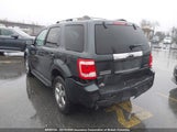 Ford Escape Limited 1FMCU94G89KC94984 снимка