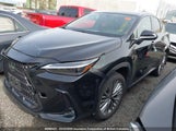 Lexus Nx 350H 350H 2T2GKCEZ4NC002795 photo