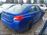 Subaru Wrx JF1VA2R6XM9808384 снимка