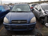 Hyundai Tucson Gl KM8JM12B56U291895 снимка
