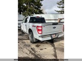 Ford F150 1FTEW1EP0MKD03385 fotografie