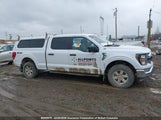 Ford F150 1FTFW1E52PKE75652 снимка