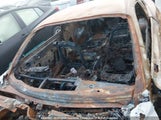Ford Mustang 1FA6P8TH0N5110553 снимка