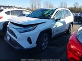 Toyota Rav4 Xle/Xle Premium 2T3R1RFV4NC274026 fotografie