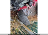 GMC Sierra 2500Hd Sle 1GT4K0BG9AF152055 снимка