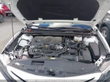 Toyota Camry Xle/Se 4T1B21HK1PU018648 photo