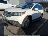 Honda Cr-V 2HKRM4H91DH113499 снимка