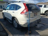 Honda Cr-V 2HKRM4H91DH113499 снимка
