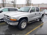 Dodge Dakota Quad 1B7HG2AN51S249677 снимка