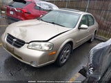 Nissan Maxima Gxe/Se/Gle/20Th Anniv JN1CA31A21T109730 снимка