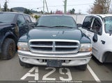 Dodge Dakota 1B7GG22NXYS580100 снимка