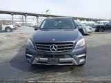Mercedes-Benz Ml 350 Bluetec 4JGDA2EB6EA287877 снимка