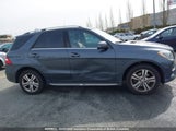 Mercedes-Benz Ml 350 Bluetec 4JGDA2EB6EA287877 снимка