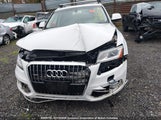 Audi Q5 Premium Plus WA1L2AFP3HA100577 fotografie
