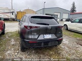Mazda Cx-30 3MVDMBCM3SM780834 снимка