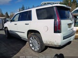 Cadillac Escalade Platinum 1GYS4DKJ6KR203784 снимка