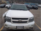 Chevrolet Trailblazer Ls/Lt 1GNDT13S082242774 снимка