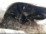 Chevrolet Silverado K3500 Lt 1GC4KWCY0KF116394 photo