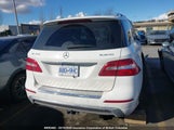 Mercedes-Benz Ml 350 Bluetec 4JGDA2EB4FA578508 снимка
