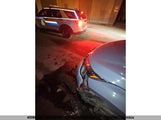 Honda Cr-V 2HKRW2H99LH233449 снимка