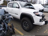 Toyota Tacoma Double Cab/Sr/Sr5/Trail/Trd Sport/Trd Off Road/Trd Pro 3TYCZ5AN7PT178333 fotografie