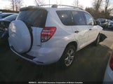 Toyota Rav4 2T3BF33V89W002054 снимка