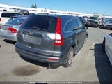 Honda Cr-V 5J6RE4H36AL802366 снимка