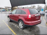 Honda Cr-V 5J6RE4H74AL818925 снимка