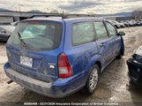 Ford Focus 1FAHP36N25W255231 fotografie