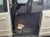 Dodge Grand Caravan Se/Sxt 2C4RDGBG5DR667379 снимка